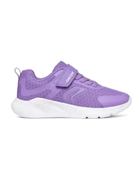 Geox Sprintye Lilac