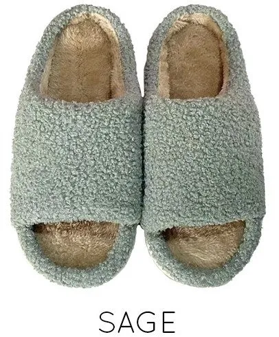 Open toe novelty slippers